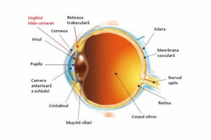 1 Simptome cataracta glob ocular